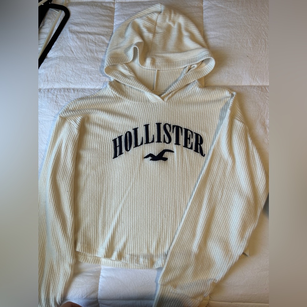 hollister sweater